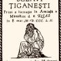 sclavi_tiganesti.jpg
